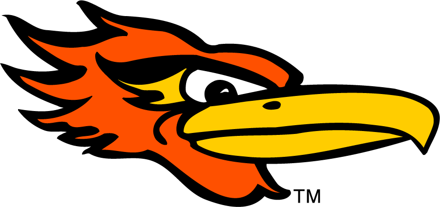 Texas-SA Roadrunners 1988-2008 Secondary Logo v3 diy iron on heat transfer